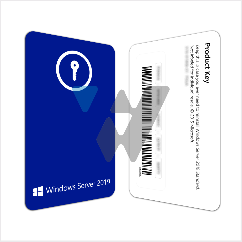 Jeg regner med sendt snap Microsoft Windows Server 2019 Standard – FerryWEB Technologies LLC